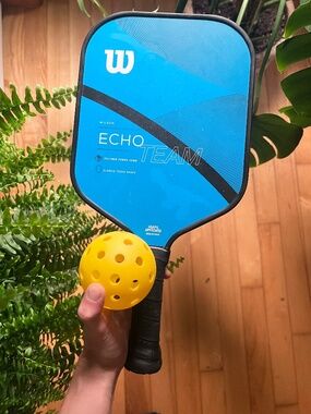 Wilson Echo Team Pickleball Racket | Blur USAPA Approved